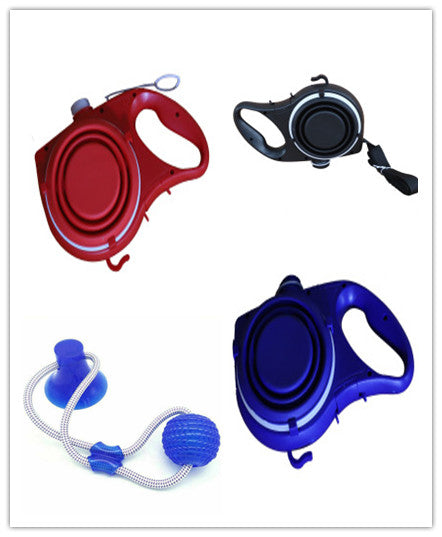 Dog Leash with Water and Cup