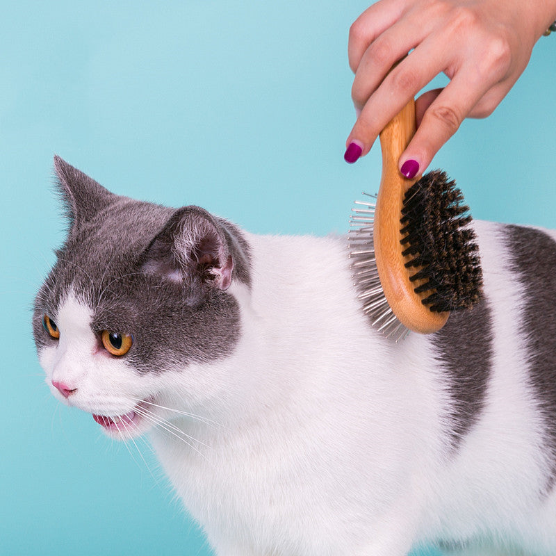 Double-side Pet Comb Dog Cleaning Brush
