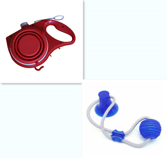 Dog Leash with Water and Cup