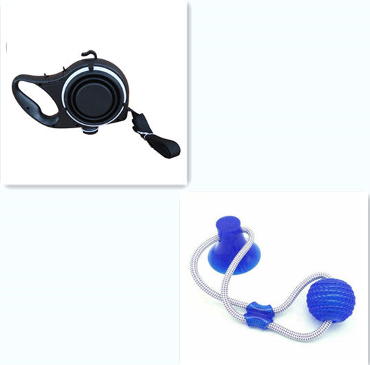 Dog Leash with Water and Cup