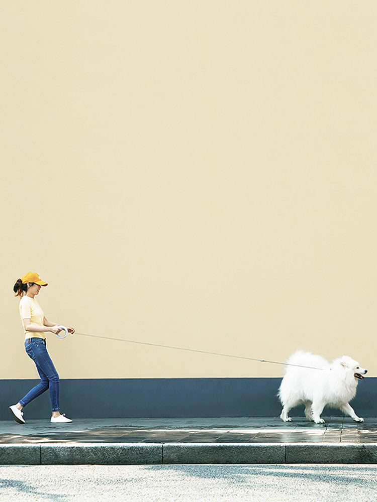 Retractable Leash Dog Small and Medium-sized Dog Teddy Dog Leash Golden Retriever Dog Chain Pet Supplies