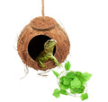 Reptile Swing