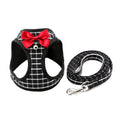 Pet Chain Traction Rope Set, Chest Harness, Cat Harness, Cat Collar, Dog Leash