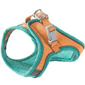 Pet Harness & Leash