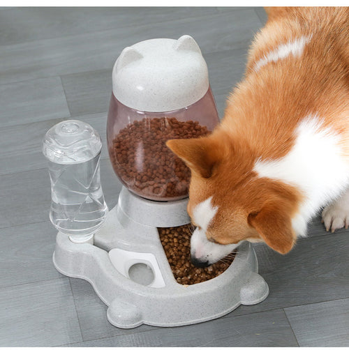 Atomatic Pet Feeder Pet Feeding Machine