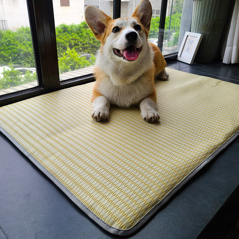 Cooling Bed Sleeping Summer - Non Stick Hair Anti Bite Mattress - Dog or Cat Ice Mat