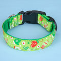 Pet Collar Dog Collar