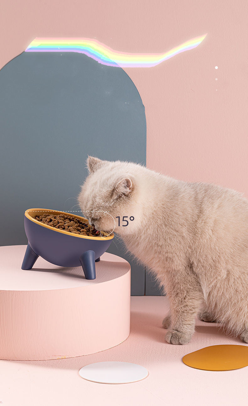 Pet Oblique Bowl with Stand