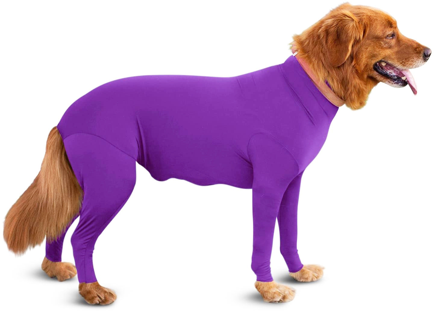 Four Legged Autumn And Winter New Dog Clothing Four Legged Clothing Pet Clothing Cat Elastic