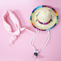Summer Outing Pet Accessory Set