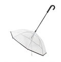 Dog's Transparent Umbrella With Traction Leash