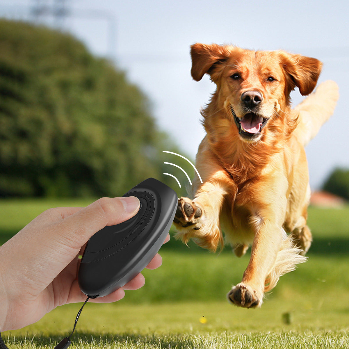 New Ultrasonic Dog Trainer