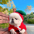 Cute Animal and Veggie Dog Hoodies