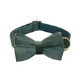 Green Velvet Bowtie Collar and Dog Leash Set