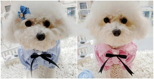 Bubble Sleeve Bow Tie Pet Shirt