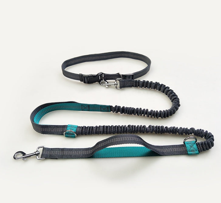 Double Elastic Handfree Dog Leash