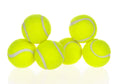 Dog Automatic Interactive Ball Launcher