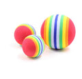 Pet Ball Pet Toy