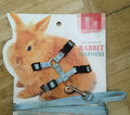Leash For Small Pet