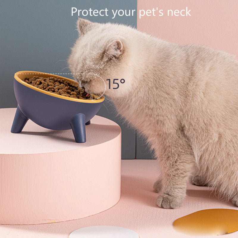 Pet Oblique Bowl with Stand