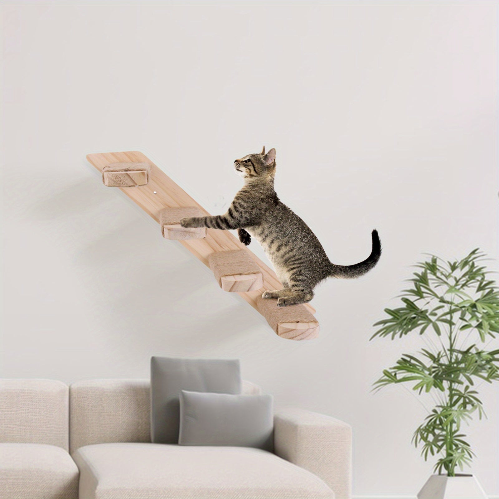 Cat Ladder Frame