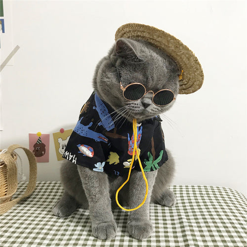 Cat Shirt and Hat