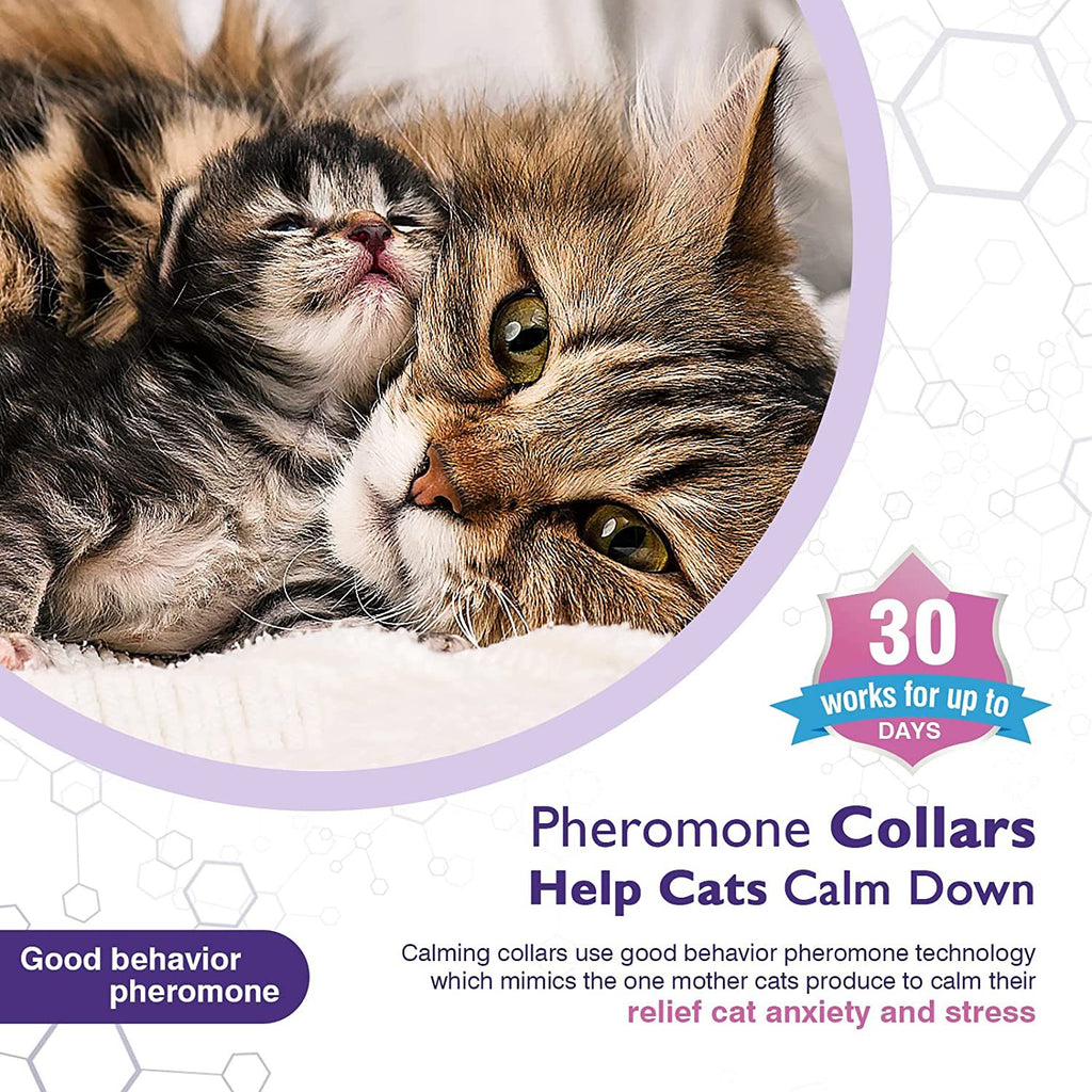 Cat Calm Comfort Collar