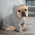Rabbit Ear Pet Hoodie