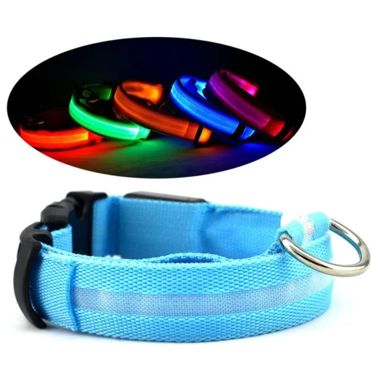 LED Pet Collar Halo Style