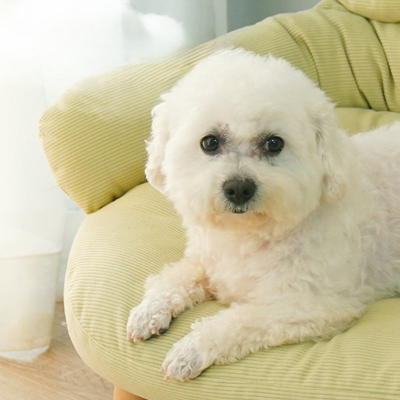 Four Seasons Universal Bed For Cats, Off Ground  Proof, Solid Wood, Cats Supplies, Thickened Animal Bed