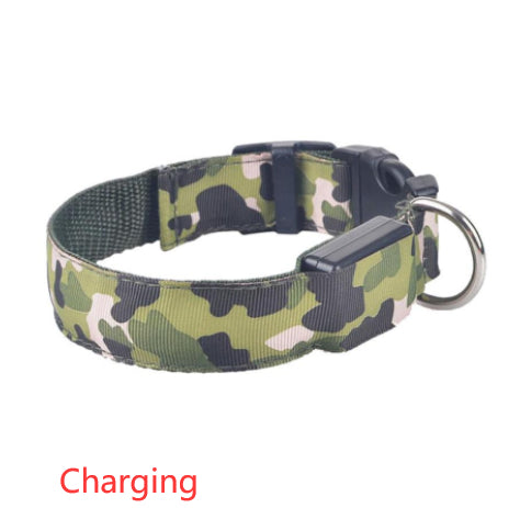 Camouflage LED Illuminated Dog Collar