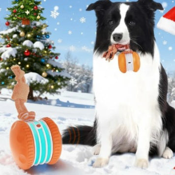 Rolling Ball Toy USB Rechargeable