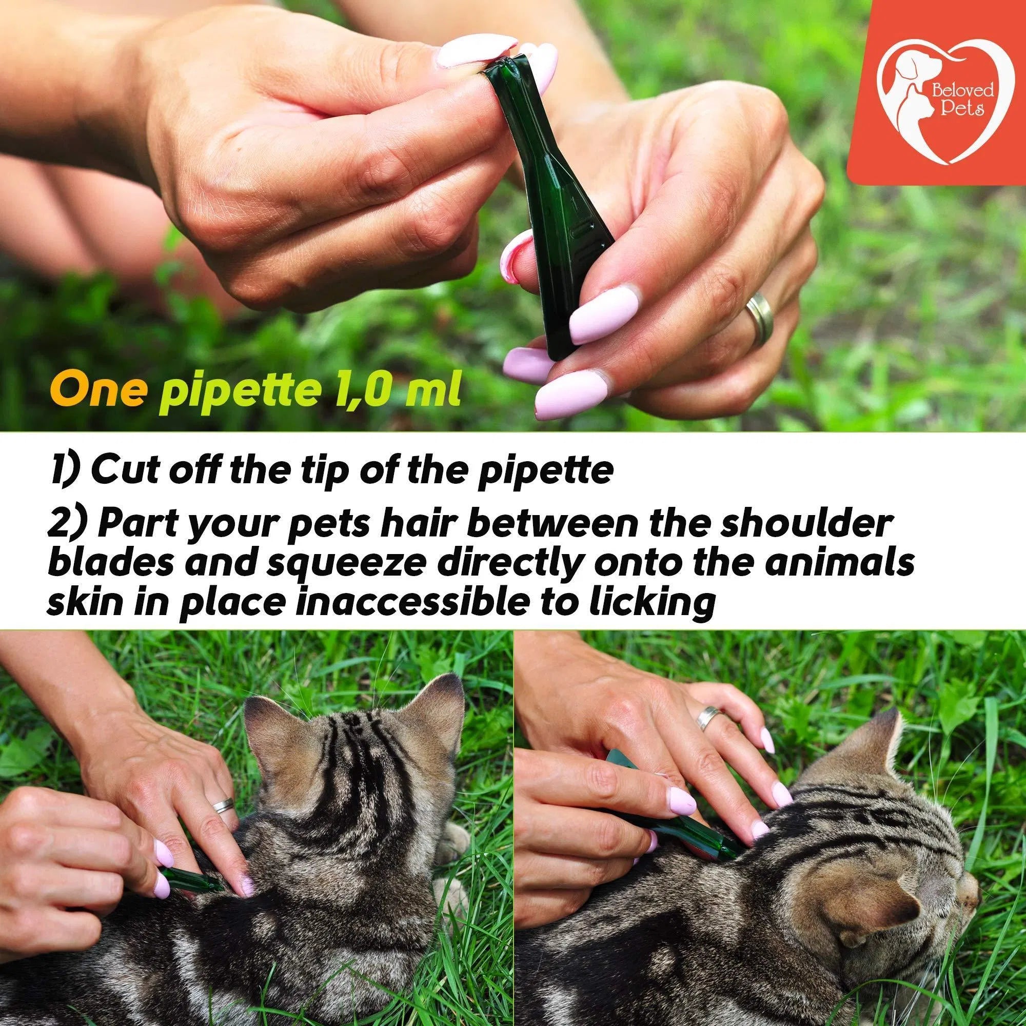 Flea and Tick Prevention for Dogs Cats Rabbits
