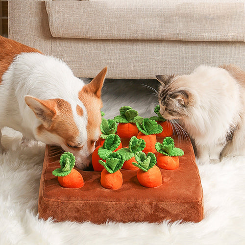 Carrot Plush Chew Toy Snuffle Mat