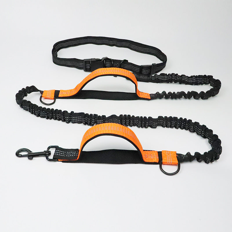 Double Elastic Handfree Dog Leash