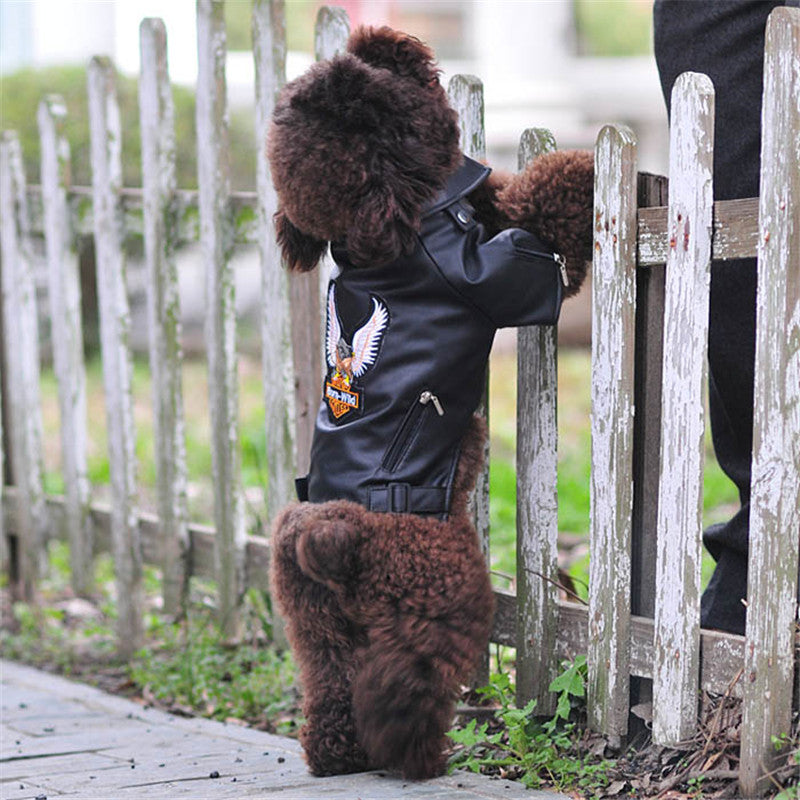 Small Dog Sticker Embroidered Eagle Leather Jacket