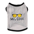 Pet Shirt