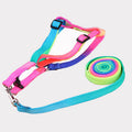 Pet Leashes Colorful Training Leashes