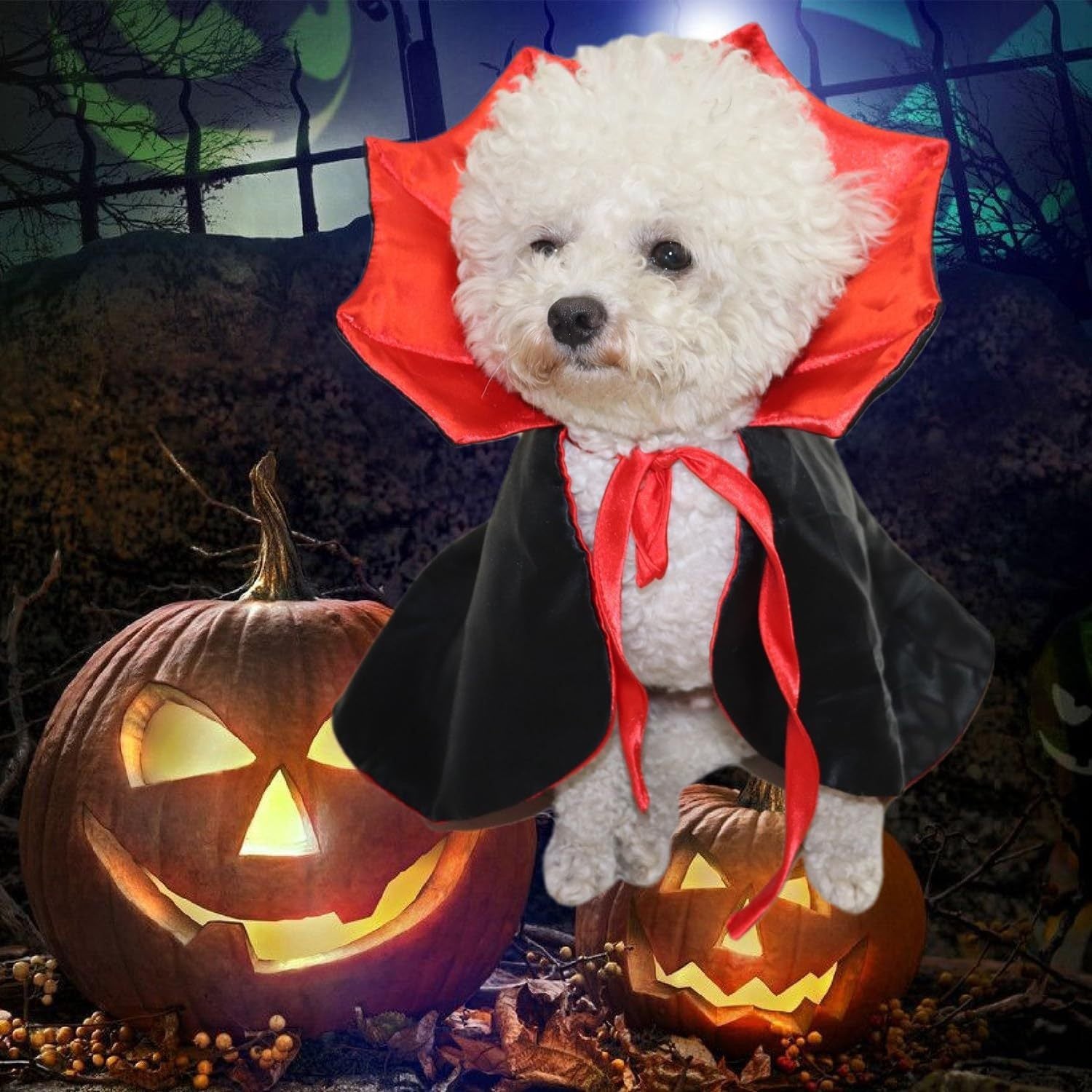 Halloween Pet Costumes Cosplay Vampire Cloak For Small Dog Cat Kitten Puppy Dress Kawaii Pet Clothes
