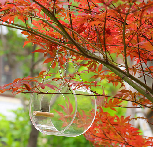 Bird Feeder - Acrylic Bird Food Box