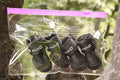Dog Shoes