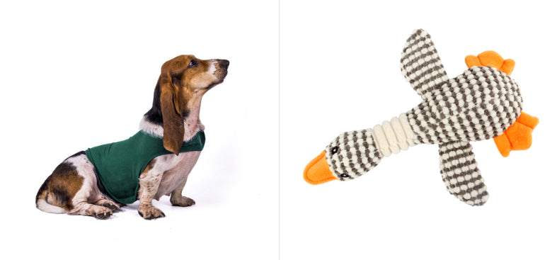 Anxiety Vest Summer Medical Treatment Jacket To Calm Down Dog Comfort Clothes