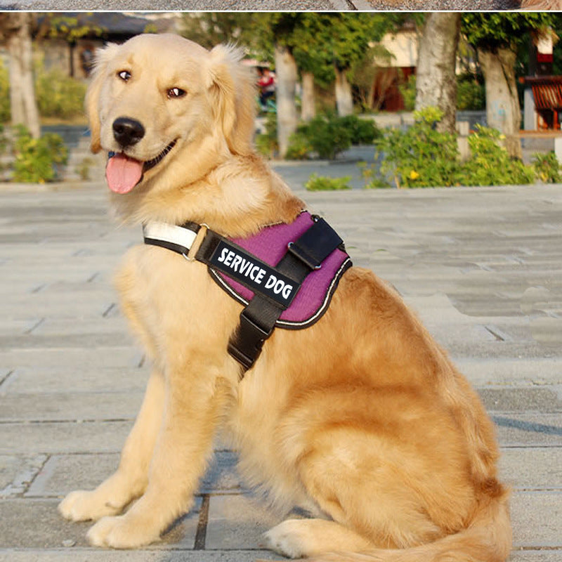 Dog Chest Harness