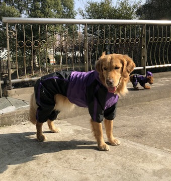 Large Dog Raincoat