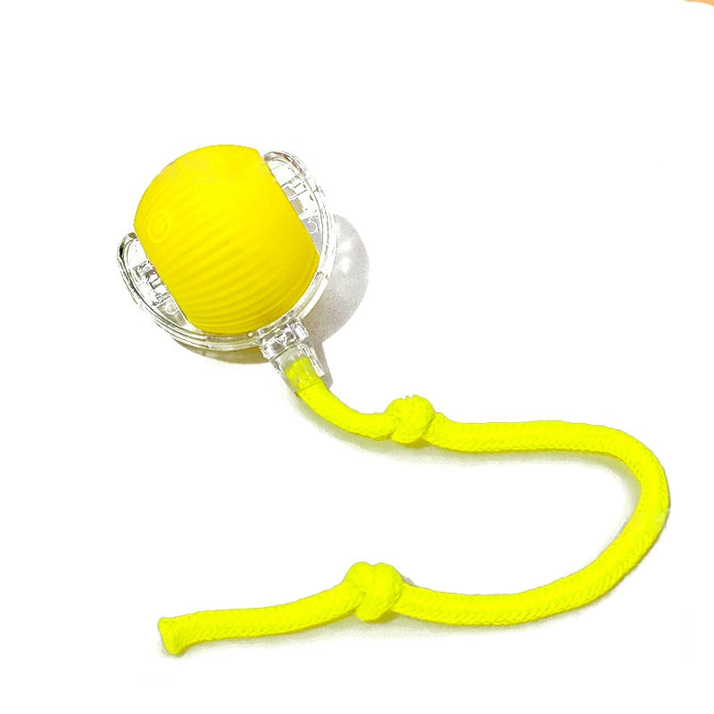 Smart Pet Rolling Ball with Teaser Sensor