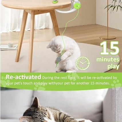 Electric Door Hanging Interactive Cat Toy