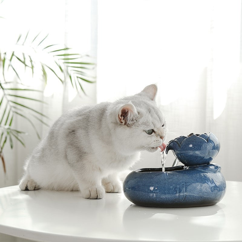 Cat Water fountain Pet Water Feeder
