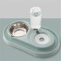 Pet Food Bowl and Water Dispenser