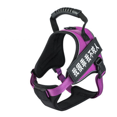 Pet Harness dog harness