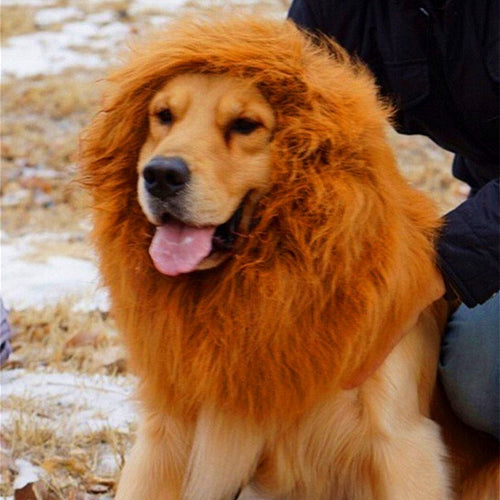 *Lion Mane Costume Wig for Large Dogs